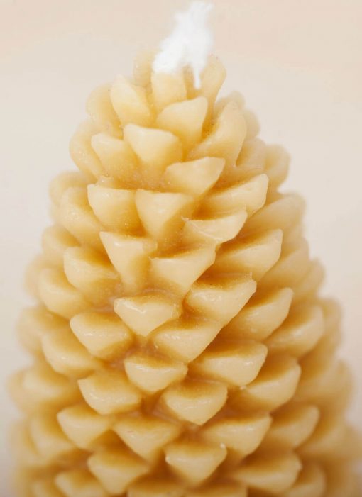 Pine Cone 03 100% pure Beeswax Candle